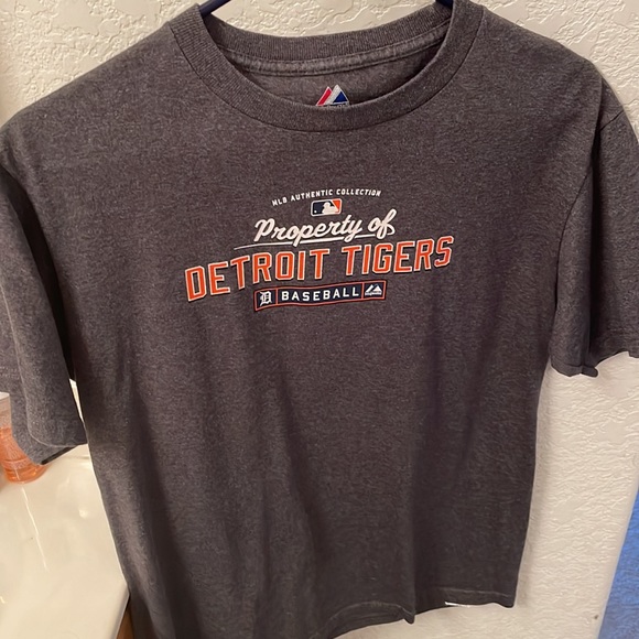 Detroit Tigers - Picture 2 of 2